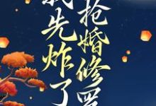 穿越后,我先炸了抢婚修罗场小说,穿越后,我先炸了抢婚修罗场免费阅读-书评酱