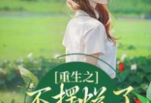 《重生之不摆烂了，我要当权臣》小说精彩章节免费试读，桑锦虞夜北辰小说在线阅读-书评酱