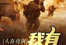 小说《人在亮剑，我有加倍缴获》免费阅读-书评酱