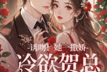 《失忆后,她抱着契约老公求亲亲》全集免费在线阅读(林鹿笙贺言彻)-书评酱