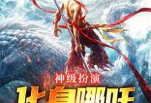 神级扮演:化身哪吒,绑定国运(叶辰)在线免费阅读-书评酱