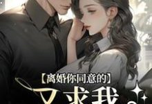 离婚你同意的，又求我复婚干什么小说在线无弹窗免费阅读-书评酱