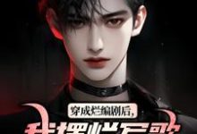 无删减版《穿成烂编剧后，我摆烂写歌爆火了》在线阅读-书评酱