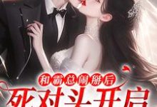 和霸总闹掰后,死对头开启追我模式小说在线无弹窗免费阅读-书评酱
