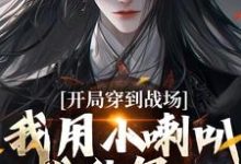 男女主人公王延臣陈圆圆小说开局穿到战场,我用小喇叭扰乱军心免费阅读-书评酱
