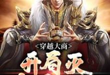 穿越大商,开局灭十万叛军小说在线免费阅读,穿越大商,开局灭十万叛军无删减版-书评酱