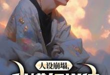 无删减版《人设崩塌，我横扫道德，做回自己！》免费阅读-书评酱