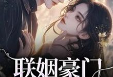 联姻豪门继承人后,我逃婚了!主角沈心姿陆仲廷小说无删减版在线阅读-书评酱