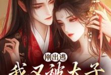 无删减版《刚出逃,我又被太子绑回来了》免费阅读-书评酱