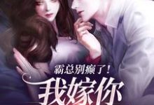 小说《霸总别癫了！我嫁你还不行吗》在线阅读-书评酱