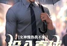 无删减版《女神慢热我不要,投入直球女怀抱》免费阅读-书评酱