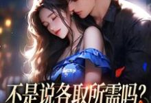 不是说各取所需吗？你咋还要我的爱小说，不是说各取所需吗？你咋还要我的爱在线阅读-书评酱