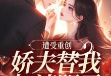 求遭受重创,娇夫替我扫清阴霾小说免费资源-书评酱