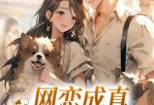 《网恋成真,这小子乐癫了》小说在线试读,《网恋成真,这小子乐癫了》最新章节目录-书评酱