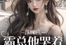 小说《落魄后，霸总他哭着带我回家》免费阅读-书评酱