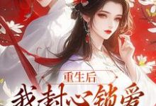 重生后,我封心锁爱,皇帝请离开主角萧煜苏婉宁小说无删减版在线阅读-书评酱