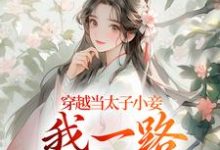 无删减版《穿越当太子小妾，我一路扶摇直上》免费阅读-书评酱