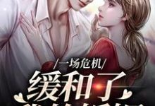 《一场危机，缓和了我的婚姻》小说主角南迦北铮免费在线阅读-书评酱