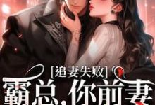 小说《婚内越轨!我高嫁京圈前夫急疯了》免费阅读-书评酱