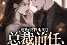 男女主人公叫陆挽江远舟的小说免费资源-书评酱