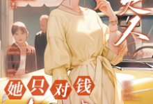 九零，夫人她只对钱有兴趣苏珃何景行在线免费阅读-书评酱