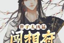 小说《世子太凶猛：闯相府抢姑娘》免费阅读-书评酱
