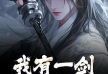 无删减版《我有一剑,白刃染红尘》免费阅读-书评酱