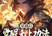 小说《穿越后,觉醒无上功法的我要复仇了》在线阅读-书评酱