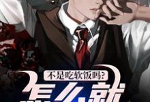 不是吃软饭吗？怎么就真爱了！林阳沈怡然，不是吃软饭吗？怎么就真爱了！在线无弹窗阅读-书评酱