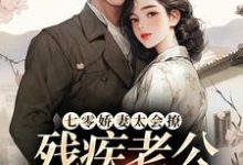 小说《七零娇妻太会撩,残疾老公甜蜜蜜》在线阅读-书评酱