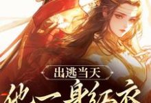 谢怀柔沈亦之小说《出逃当天，他一身红衣抢掳我》在线阅读-书评酱