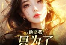 已完结小说《他娶我,只为了替她脱罪?》免费阅读-书评酱