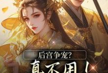 后宫争宠?真不用!我撒个娇的事温梨儿晏时叙,后宫争宠?真不用!我撒个娇的事最新章节-书评酱