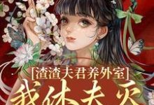 主角叫叶宛卿萧时衍小说渣渣夫君养外室,我休夫灭妾另高嫁免费阅读-书评酱