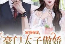 小说《霸道强宠，豪门太子傲娇求我怜爱！》免费阅读-书评酱