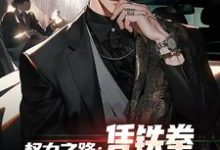 权力之路：凭铁拳，我令黑势力退避免费阅读，权力之路：凭铁拳，我令黑势力退避步青云雷蕾-书评酱