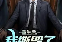 陆泽白糯小说《重生后，我撕毁了离婚协议书》在线阅读-书评酱