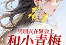 男朋友在聚会上,和小青梅吻红温了小说在线无弹窗免费阅读-书评酱