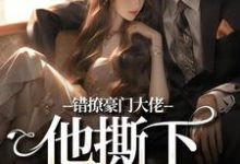 小说《错撩豪门大佬,他撕下禁欲伪装》免费阅读-书评酱