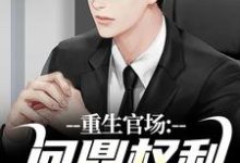 重生官场：问鼎权利之巅小说，重生官场：问鼎权利之巅在线阅读-书评酱