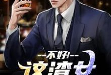 不好!这渣女要虐死了小说在线无弹窗免费阅读-书评酱