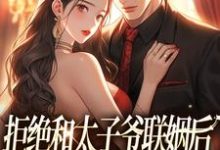 无删减版《拒绝和太子爷联姻后,被霸总求婚!》免费阅读-书评酱