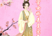 小说《宫女娇美，皇宠不断》免费阅读-书评酱