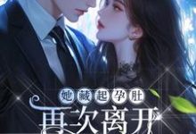 她藏起孕肚再次离开,顾爷气疯了顾宸秦舒予在线免费阅读-书评酱