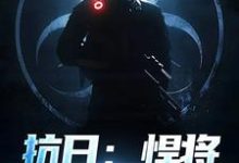 抗日：悍将，他是个鬼子？小说，抗日：悍将，他是个鬼子？林放无弹窗在线阅读-书评酱