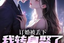已完结小说《订婚被丢下,我转身娶了娇娇千金》在线阅读-书评酱