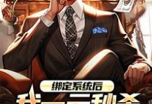 绑定系统后，我一元秒杀一辆奔驰（林帆）在线免费阅读-书评酱