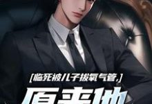 临死被儿子拔氧气管，原来他非亲生林子阳陆晓雪小说在线章节目录阅读最新章节-书评酱