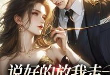 说好的放我走，你咋又锁门了（西子佑蓝依依）在线免费阅读-书评酱