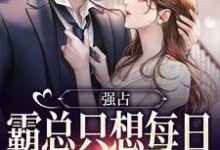 已完结小说《强占:霸总只想每日与她缠绵》在线阅读-书评酱